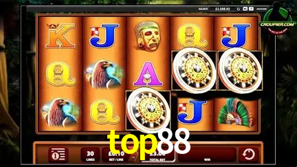 VIP Casino top88